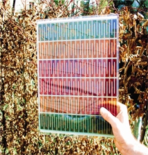 solar-window.jpg