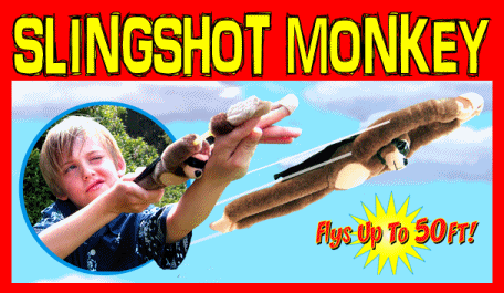 slingshot-monkey-title.gif