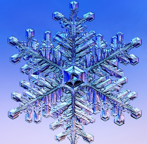 snowflake-AmSciCover.jpg