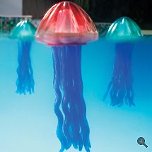 jellyfish_lights.jpg