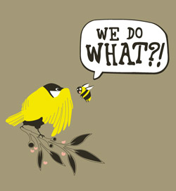 threadless_birds-and-bees.jpg